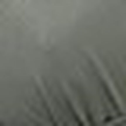 ブラ＆ショーツセット, , swatch