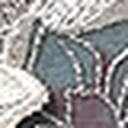 Ｔバックショーツ, , swatch