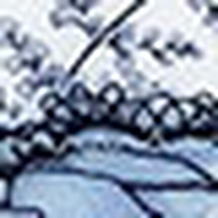 ショーツ, , swatch