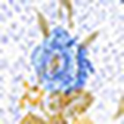 パジャマ, , swatch