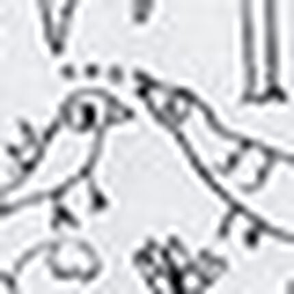 ショーツ, , swatch