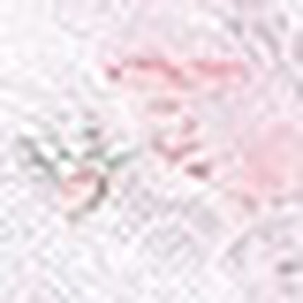 Ｔバックショーツ, , swatch