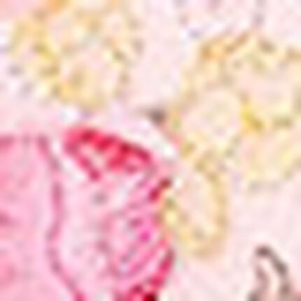 ボーイレングスショーツ, , swatch