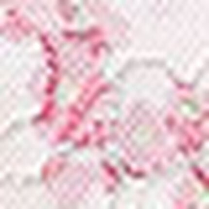 ショーツ, , swatch