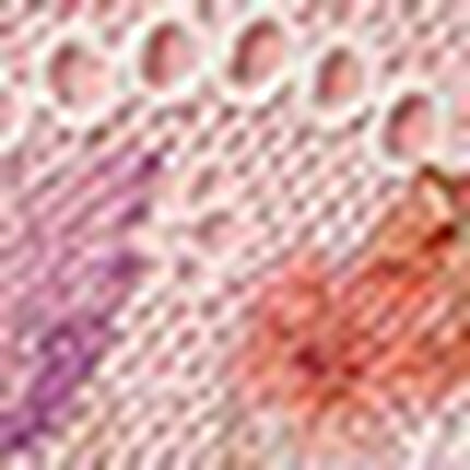 ショーツ, , swatch