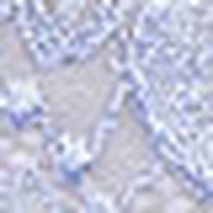 ショーツ, , swatch