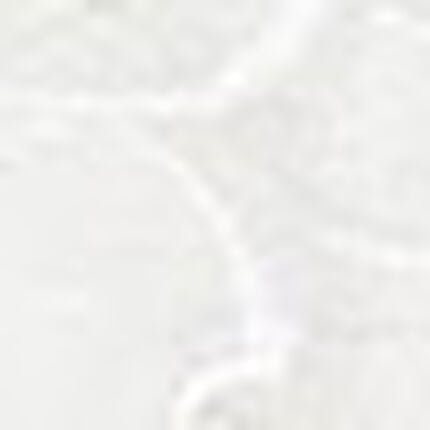 Ｔバックショーツ, , swatch