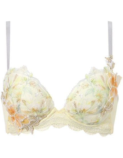 ワイヤーブラ（３／４カップ）, , main