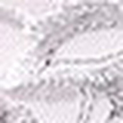 レディスショーツ（ボーイレングス）, , swatch