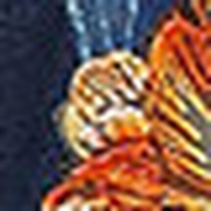 レディスショーツ, , swatch