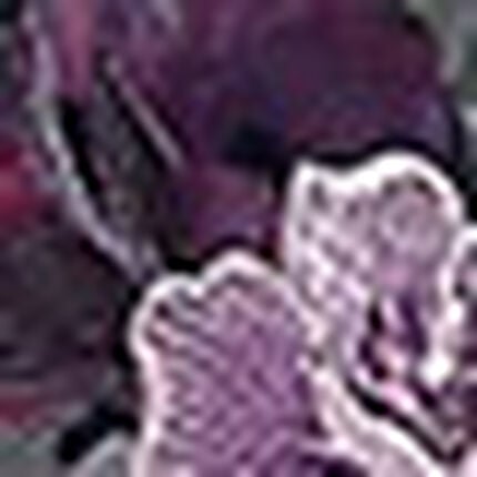 スリップ, , swatch