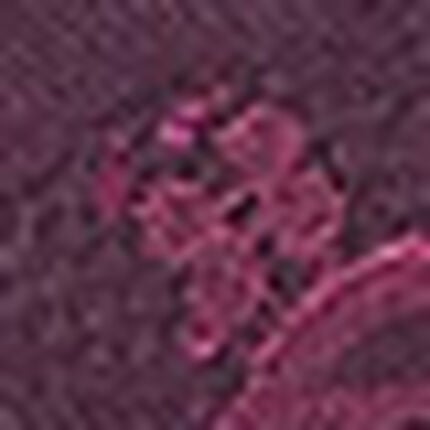 Ｔバックショーツ, , swatch