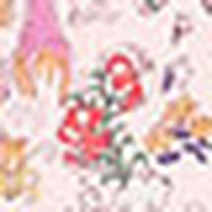 レディスパジャマ　上下セット, , swatch