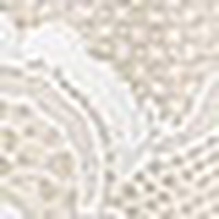 ショーツ, , swatch