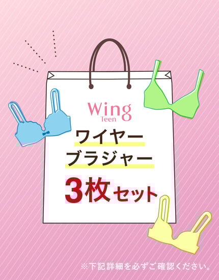 ワイヤーブラ３枚セット, , main