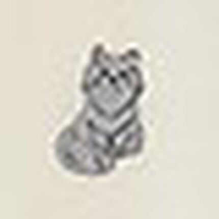 セットアップ, , swatch