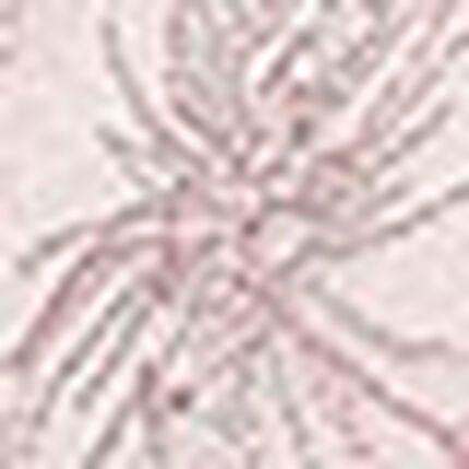 ３／４カップブラ, , swatch