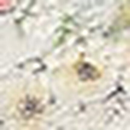 ショーツ, , swatch