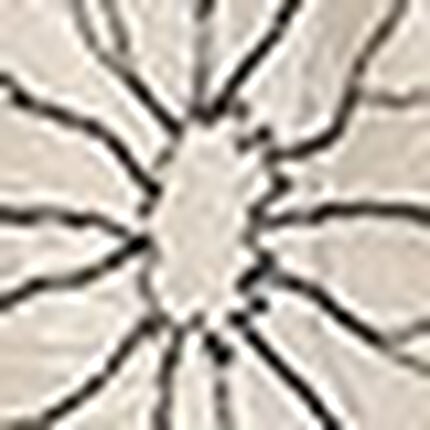 Ｔバックショーツ, , swatch