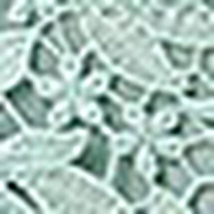 Ｔバックショーツ, , swatch