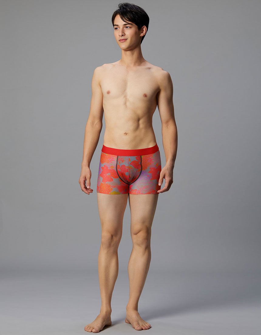 ボクサーパンツ（前閉じ）, , hi-res