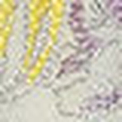 ショーツ, , swatch