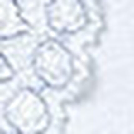 ショーツ, , swatch