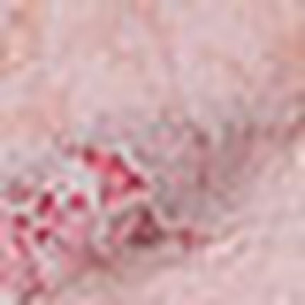 ショーツ, , swatch