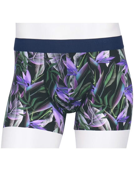 ボクサーパンツ（前閉じ）, , main