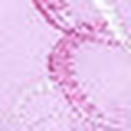 ブラ＆ショーツセット, , swatch