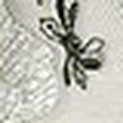 Ｔバックショーツ, , swatch