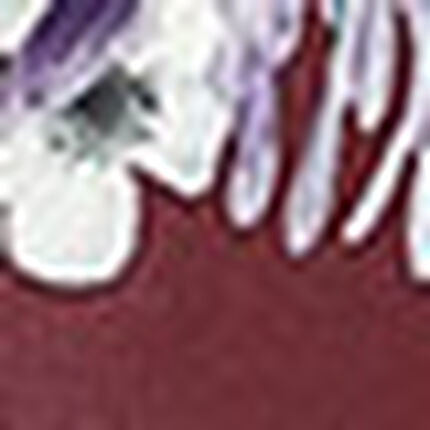 ボーイレングスショーツ, , swatch