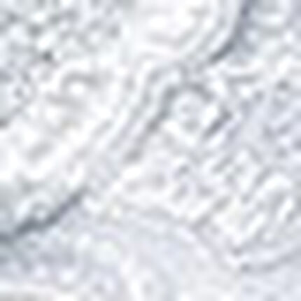 Ｔバックショーツ, , swatch