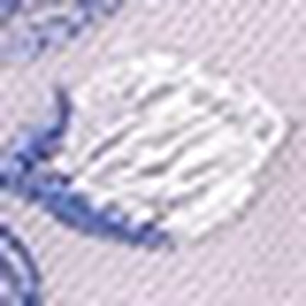 ショーツ, , swatch