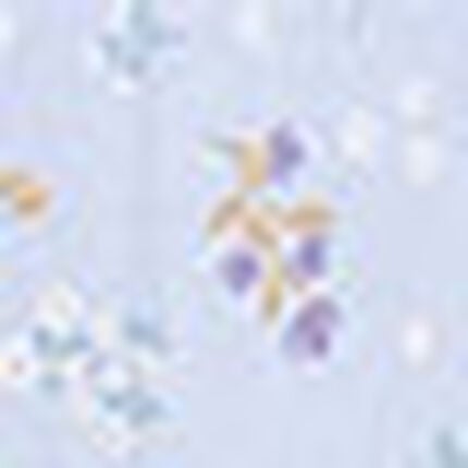 パジャマ, , swatch