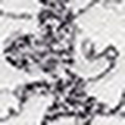 ショーツ, , swatch