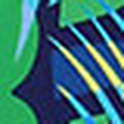 水着（ワンピース）, , swatch