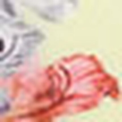 ショーツ, , swatch