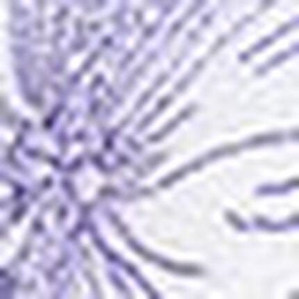 ３／４カップブラ, , swatch