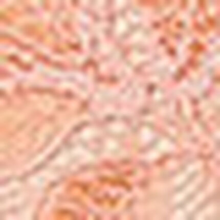 ショーツ, , swatch