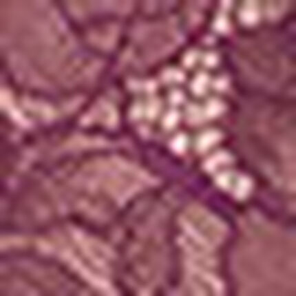 ショーツ, , swatch