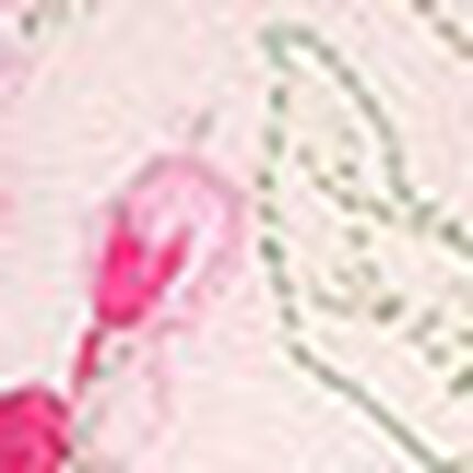 ３／４カップブラ, , swatch