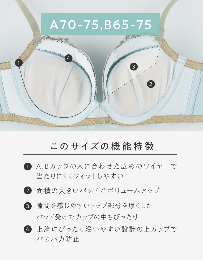 ワイヤーブラ（３／４カップ）, , hi-res