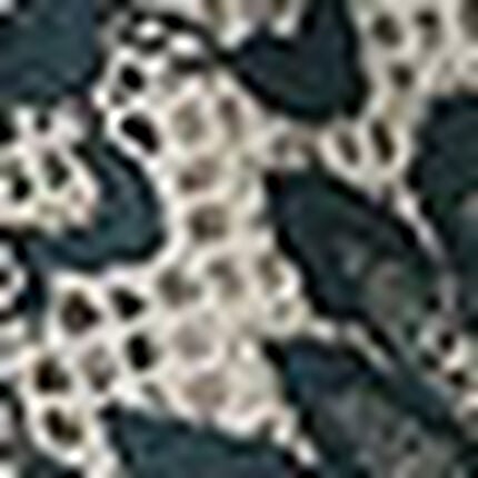 ショーツ, , swatch