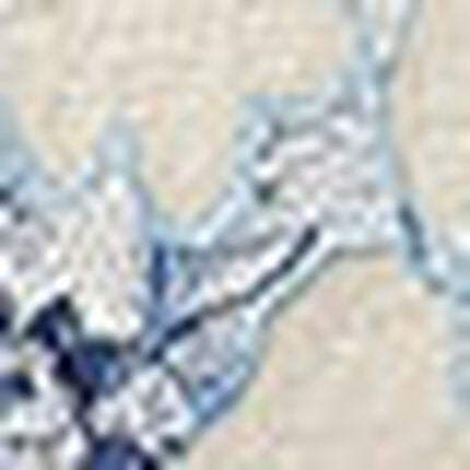 ショーツ, , swatch