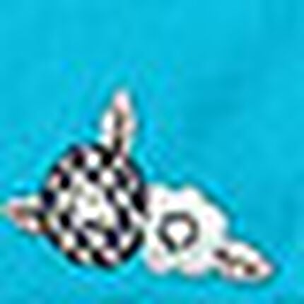 パジャマ, , swatch