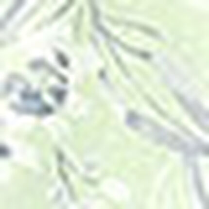 ボトムス, , swatch