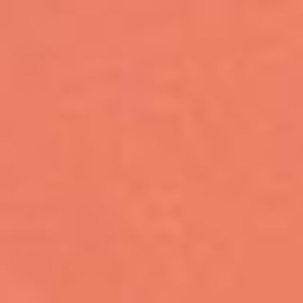 トップス（半袖）, , swatch