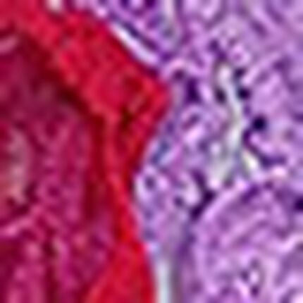 ガーターベルト, , swatch