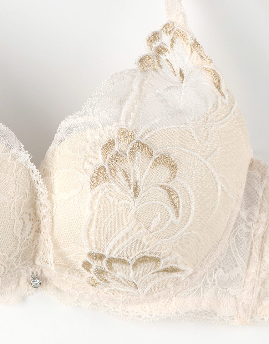 Lingè Noël ランジェノエル 美胸脇高 カシュクール型 ブラ＆ショーツ